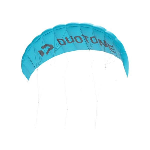 Duotone Trainer  Lizard