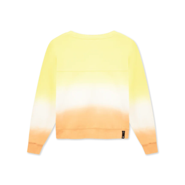 Duotone Sweater True