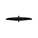 Zwart