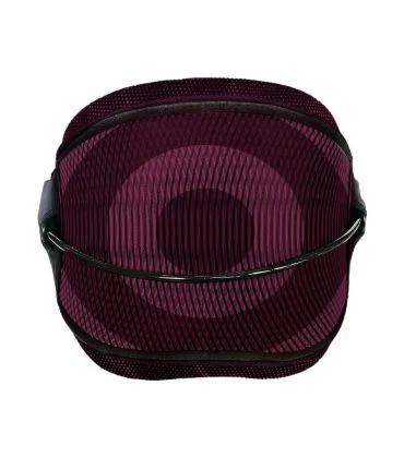 Neilpryde Proton Kite