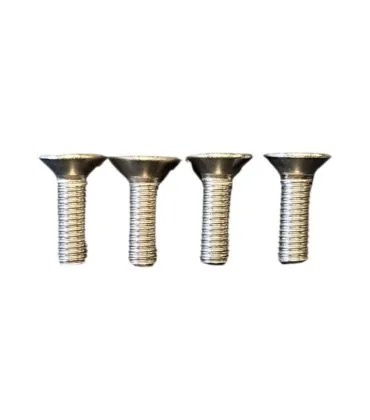 Telstar surf RVS M6 TORX TX30 4st.