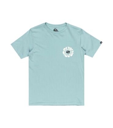 Quiksilver EVO ROADS END