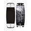 Wakeskates