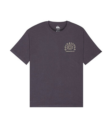 Quiksilver CURVE PALM - QUIKSILVER - Grijs - afbeelding 1